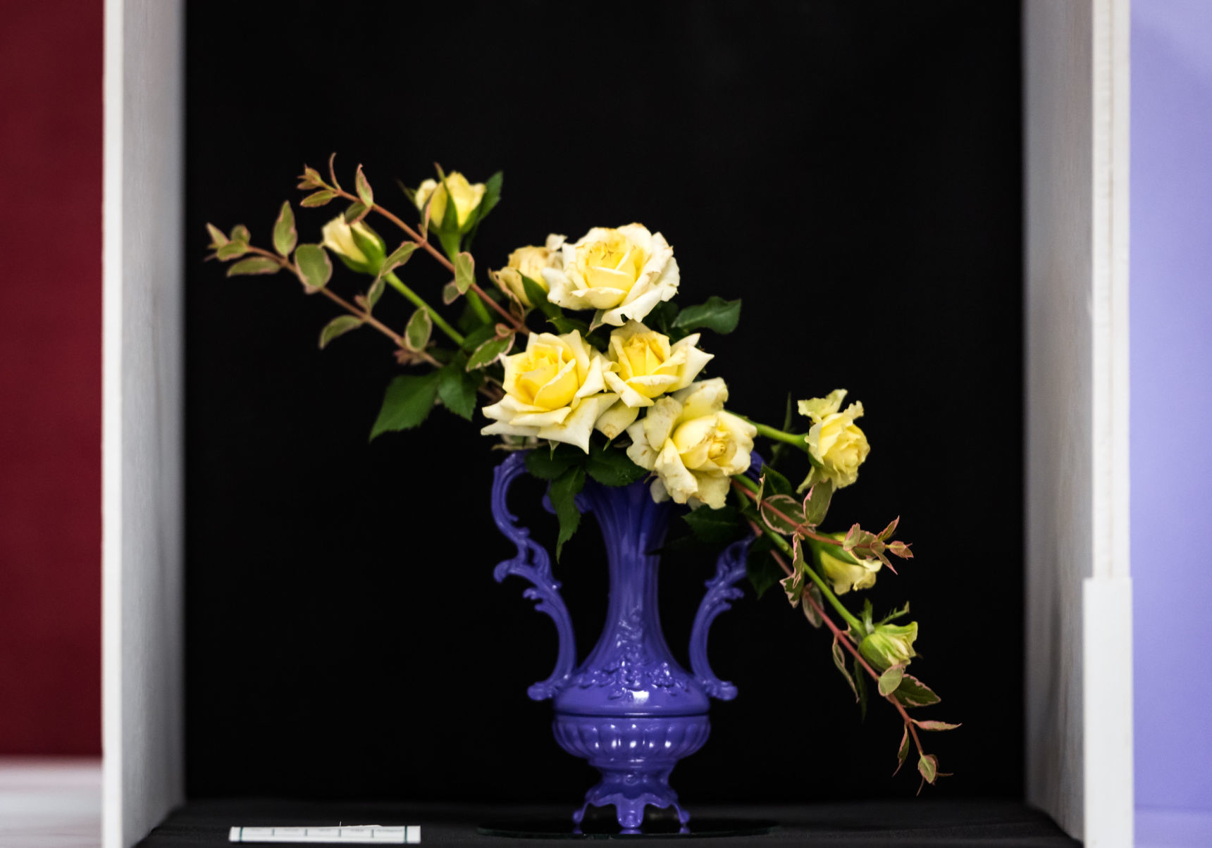 Rose Show
